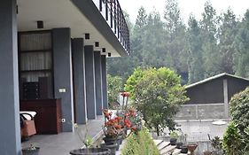 Pinehill On A 1740M Land